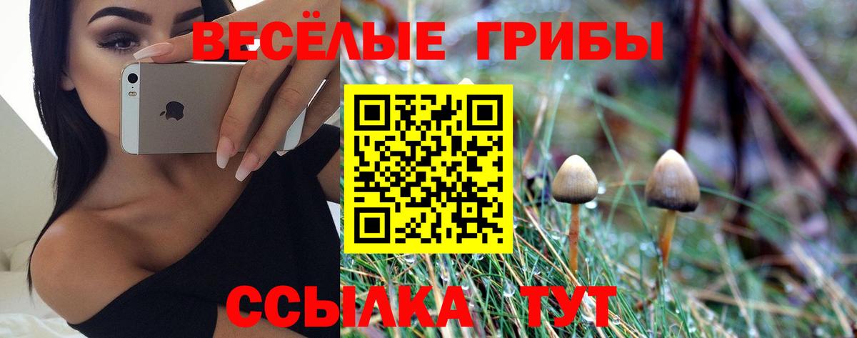 Псилоцибиновые грибы MAGIC MUSHROOMS Мелеуз